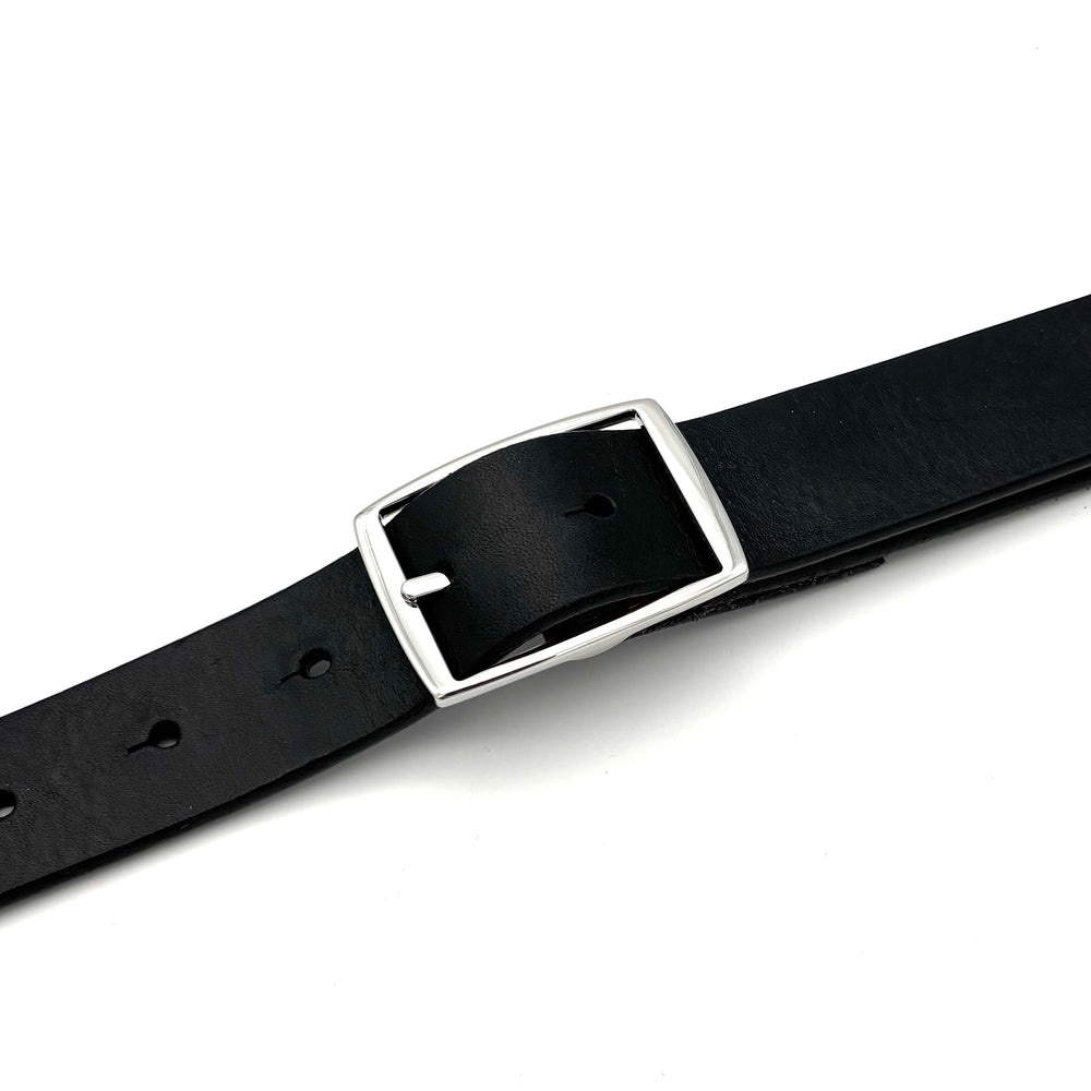 Detailansicht der geschlossenen Dornschließe 30 mm in polierter Edelstahloptik